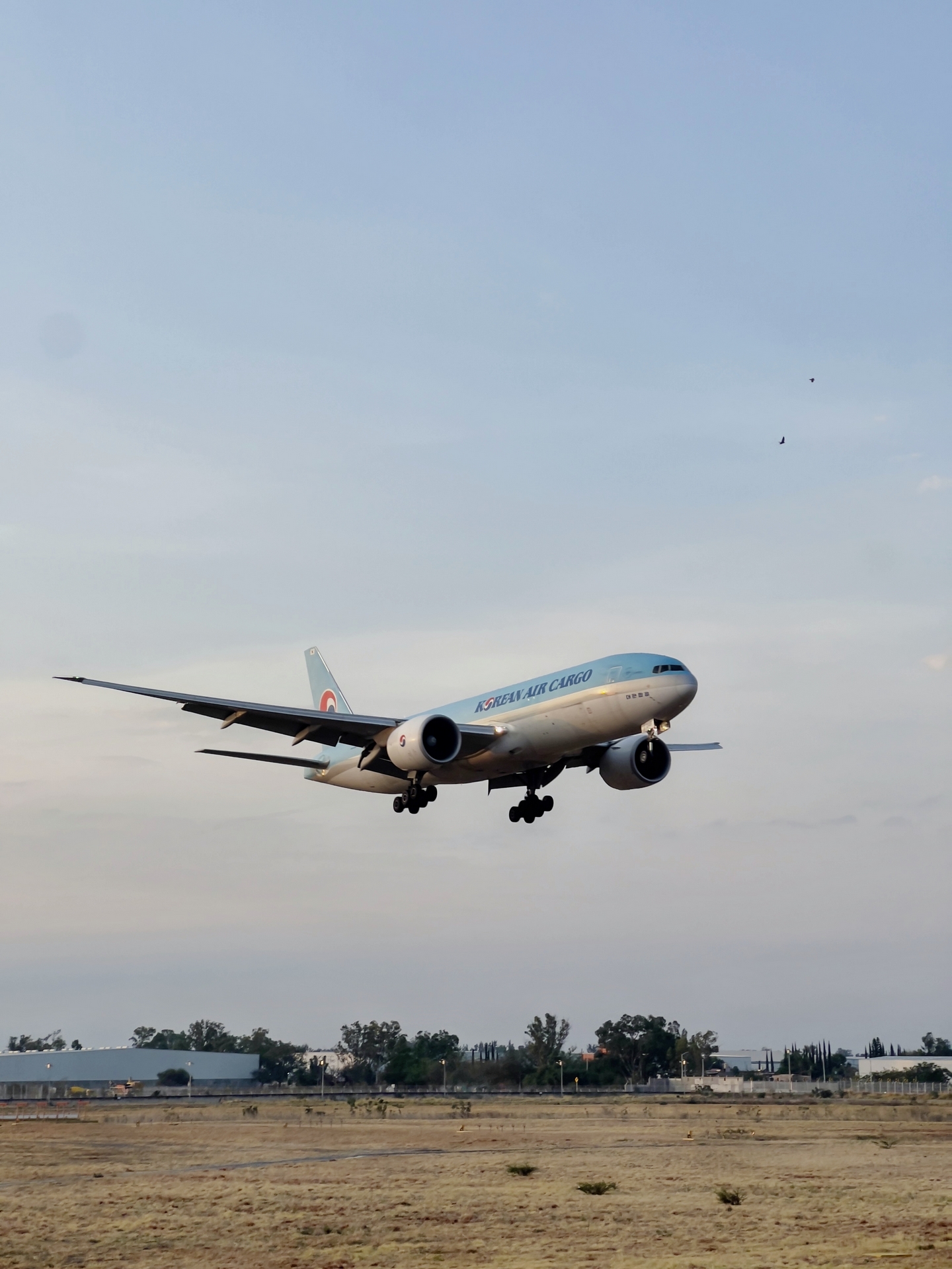 B777 de Carga Llegando Guadalajara